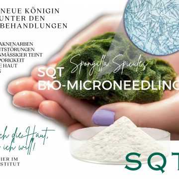 SQT-Bio-Microneedling Übersicht