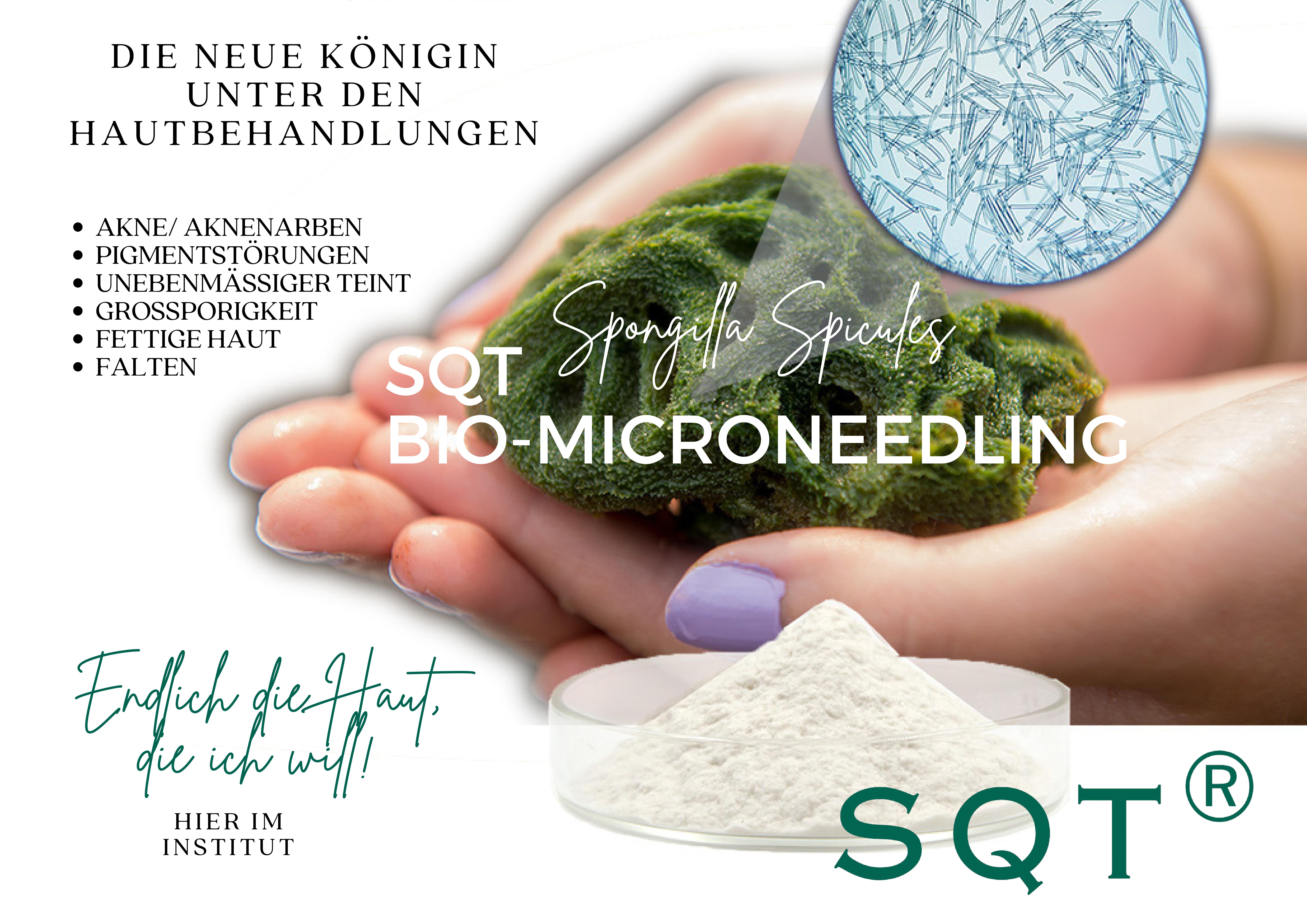 SQT-Bio-Microneedling Übersicht